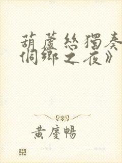 葫芦丝独奏曲《侗乡之夜》