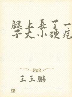 腿上长了一个豆子大小硬疙瘩