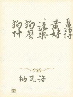 狗狗流黄鼻涕用什么药好得快