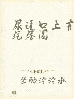 尿道口上有小肉疙瘩图