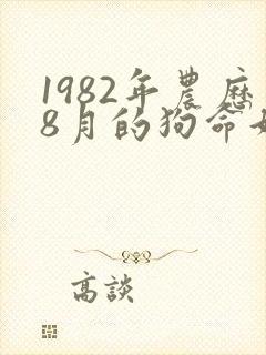 1982年农历8月的狗命好不好