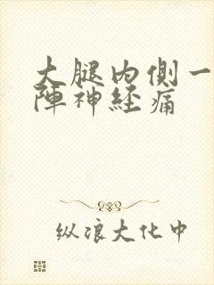 大腿内侧一阵一阵神经痛