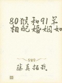 80猴和91羊相配婚姻如何