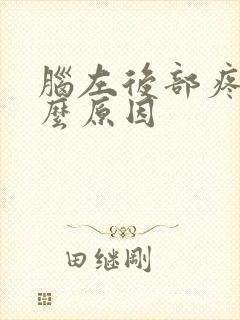 脑左后部疼是什么原因