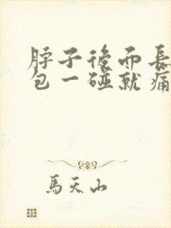 脖子后面长了个包一碰就痛