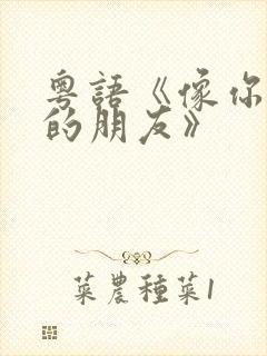 粤语《像你这样的朋友》