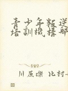 青少年叛逆管教培训机构哪里有封面