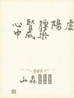 心肾脾阳虚吃啥中成药