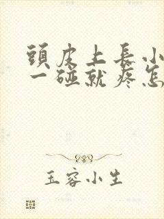 头皮上长小疙瘩一碰就疼怎么回事封面