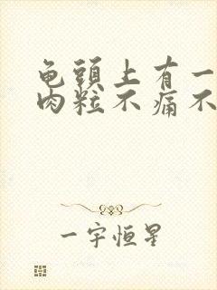 龟头上有一圈小肉粒不痛不痒封面