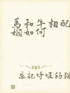 马和牛相配吗婚姻如何封面