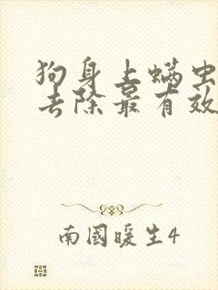 狗身上螨虫怎么去除最有效