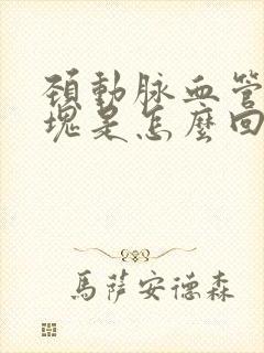 颈动脉血管有斑块是怎么回事