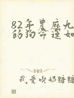 82年农历九月的狗命运如何