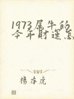 1973属牛的今年财运怎么样