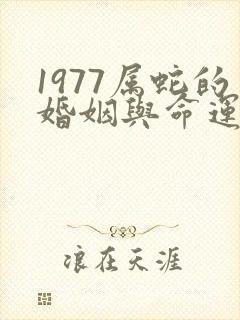1977属蛇的婚姻与命运如何封面