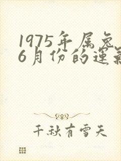 1975年属兔6月份的运气怎么样