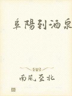 阜阳到酒泉物流