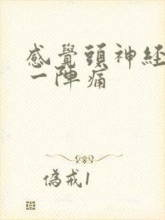 感觉头神经一阵一阵痛