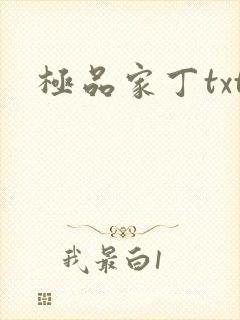 极品家丁txt封面