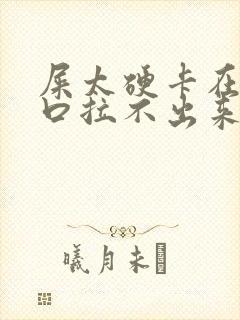 屎太硬卡在肛门口拉不出来怎么办