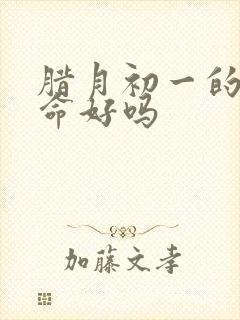 腊月初一的女孩命好吗