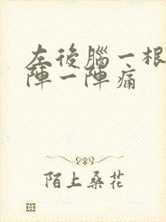 左后脑一根筋一阵一阵痛