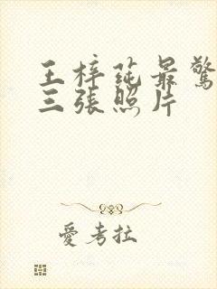 王梓莼最惊艳的三张照片封面