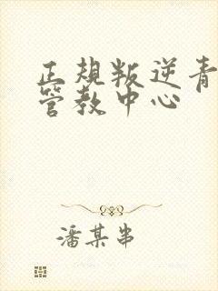 正规叛逆青少年管教中心