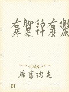 右脚的右侧骨头疼是什么原因