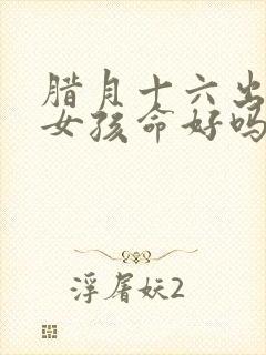 腊月十六出生的女孩命好吗