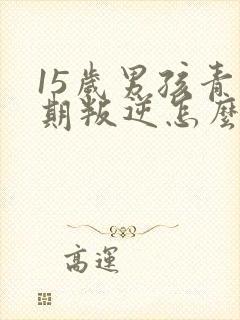 15岁男孩青春期叛逆怎么办封面