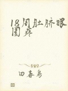 18周肚脐眼周围疼