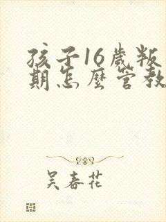 孩子16岁叛逆期怎么管教最合适男孩