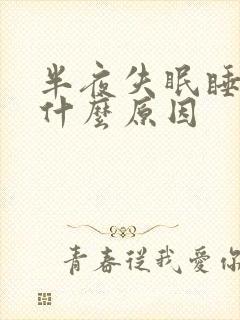 半夜失眠睡不着什么原因