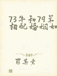 73牛和79羊相配婚姻如何封面