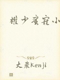 权少蜜宠小娇妻