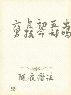 六月初五出生的男孩命好吗