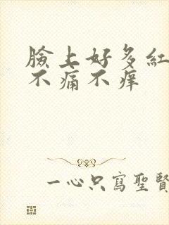 脸上好多红点点不痛不痒