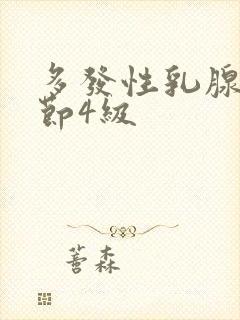 多发性乳腺有结节4级