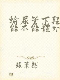 输尿管下段结石能不能体外碎石