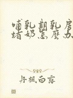 哺乳期乳房胀痛堵奶怎么办