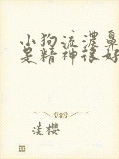 小狗流浓鼻涕但是精神很好