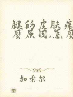 腿的皮肤痒是什么原因,怎么治