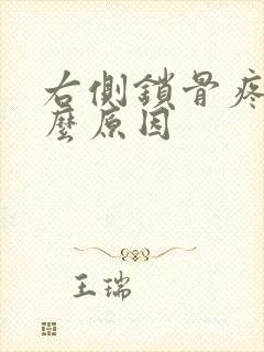 右侧锁骨疼是什么原因封面