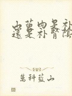 山萸肉是补肾阳还是补肾阴