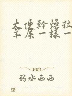 大便干燥拉的跟羊屎一样一粒一粒