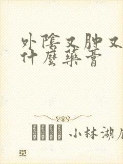 外阴又肿又痛抹什么药膏