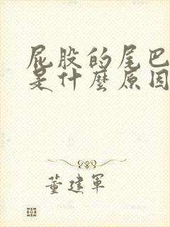 屁股的尾巴骨疼是什么原因