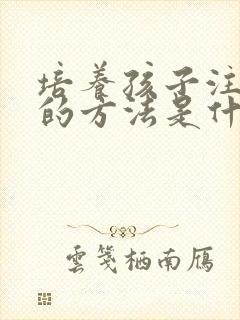 培养孩子注意力的方法是什么封面